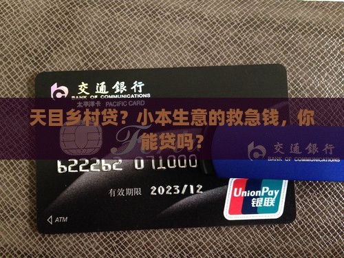 天目农村小额贷款