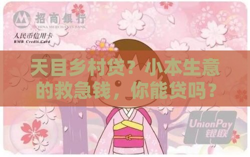 天目农村小额贷款