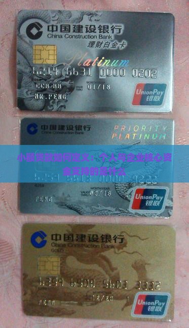 小额贷款指的什么