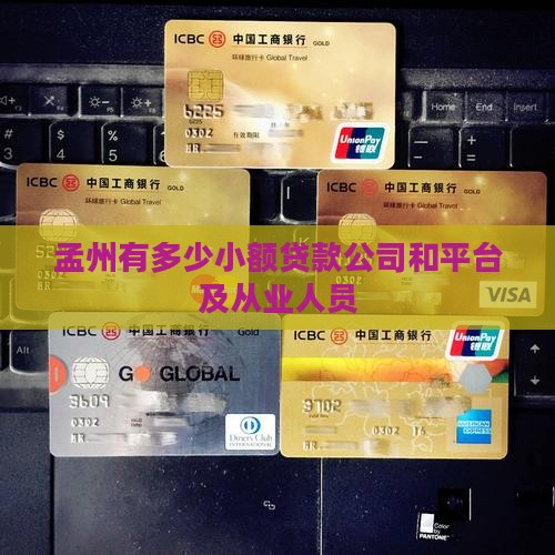 孟州有多少小额贷款