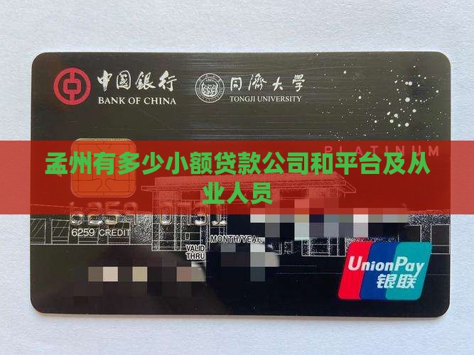 孟州有多少小额贷款