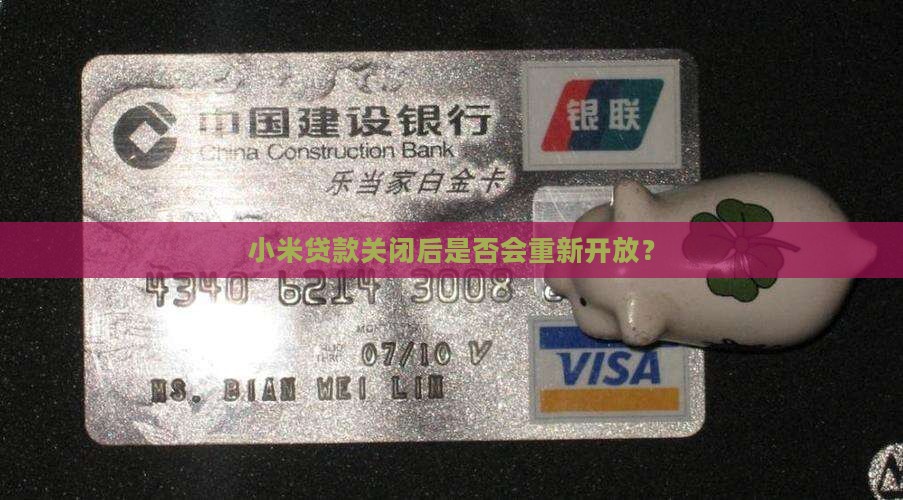 小米贷款关了会再开吗