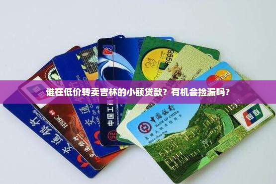 吉林小额贷款转让