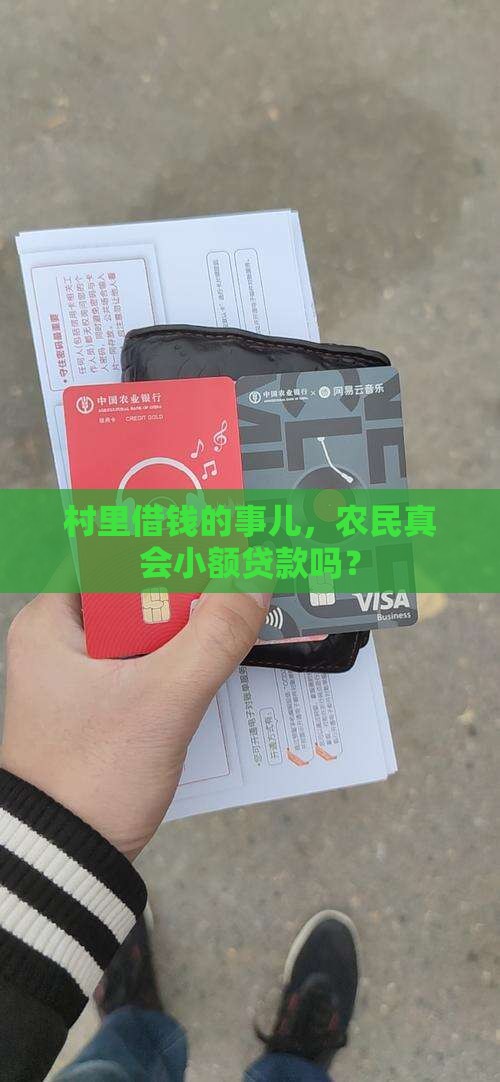 农民在农村小额贷款吗