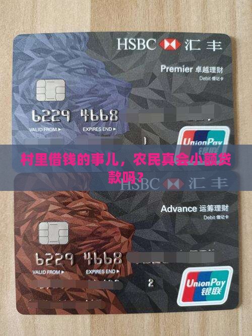 农民在农村小额贷款吗