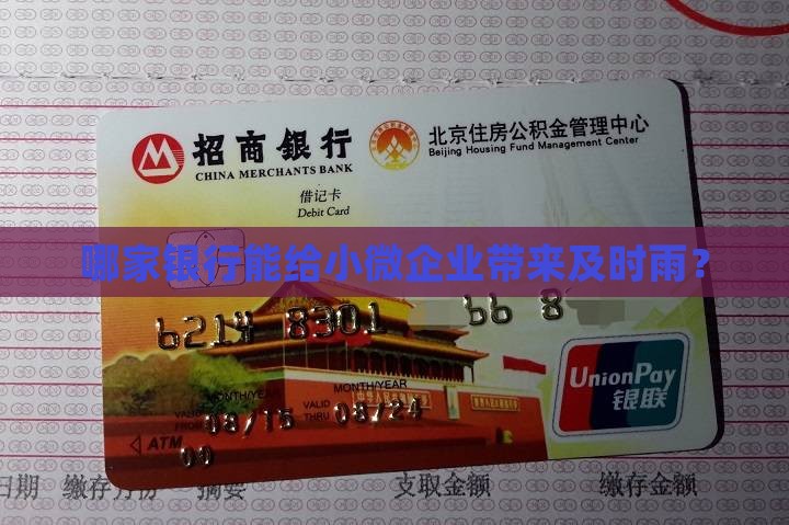 小微企业信用贷款的银行
