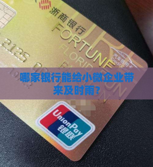 小微企业信用贷款的银行