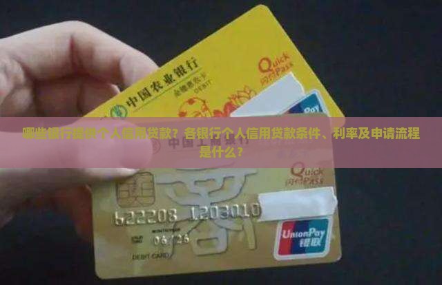 哪个银行有个人信用贷款