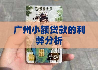 广州小额贷款利弊分析