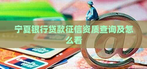 宁夏银行贷款征信资质
