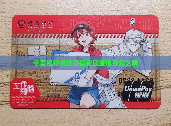 宁夏银行贷款征信资质