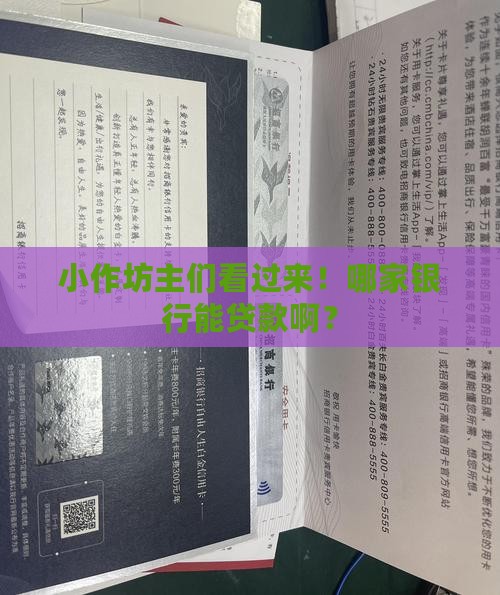 小作坊哪家银行可以贷款