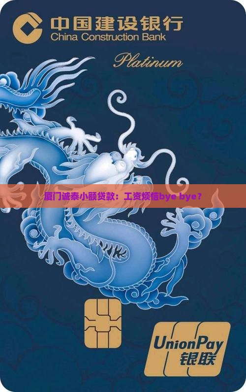 厦门诚泰小额贷款工资