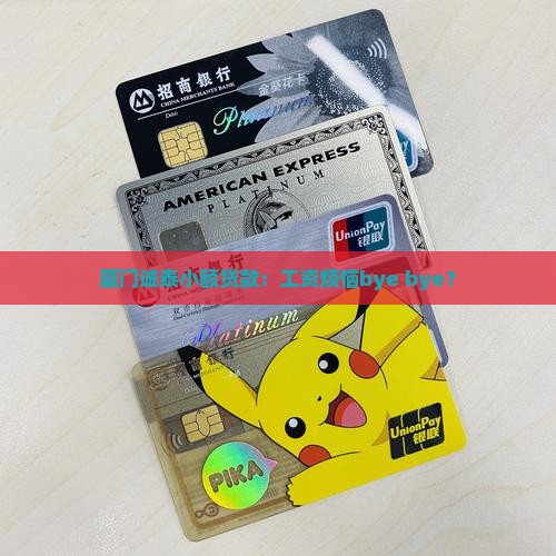 厦门诚泰小额贷款工资