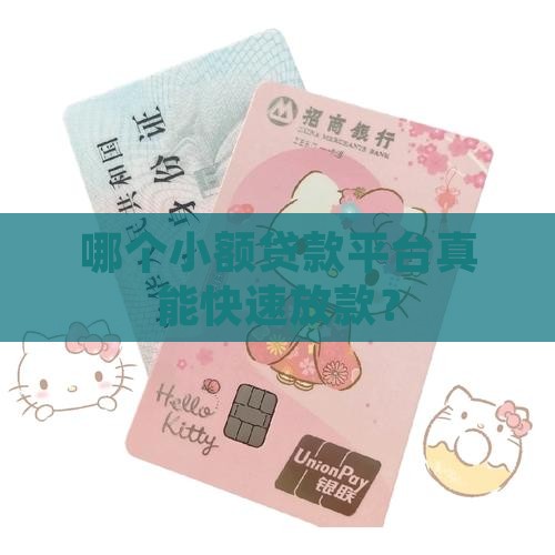 小额贷款平台好下款的