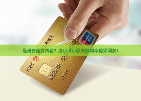 度小满小额贷款利息过高