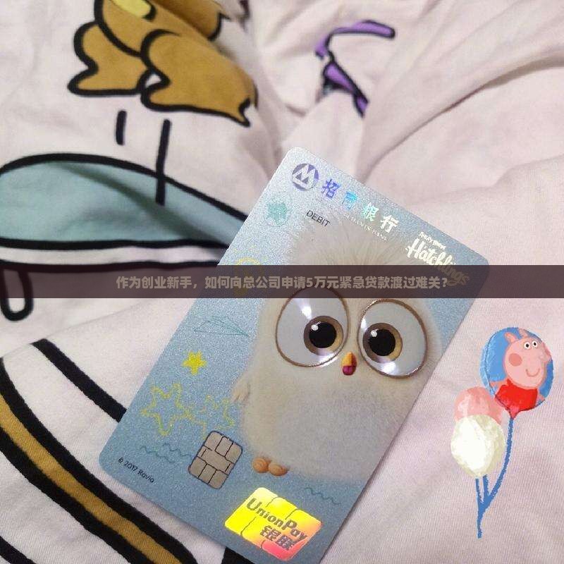 向总公司的申请贷款