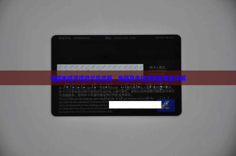 征信未结清贷款欠息总额