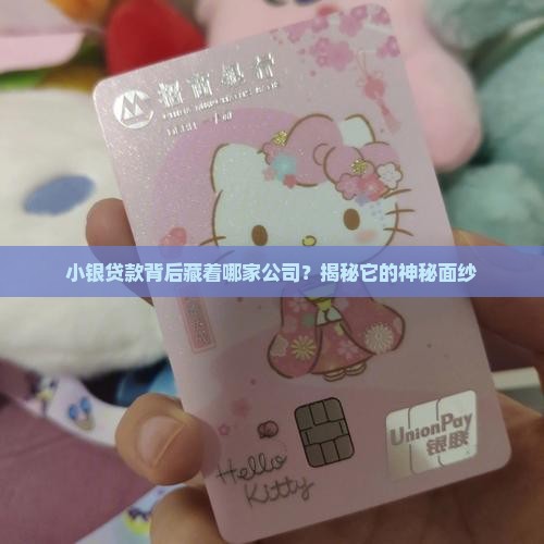 小银贷款是哪个公司