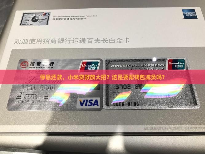 小米贷款停息还款