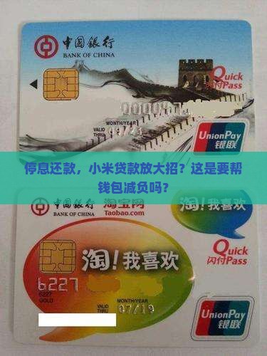 小米贷款停息还款
