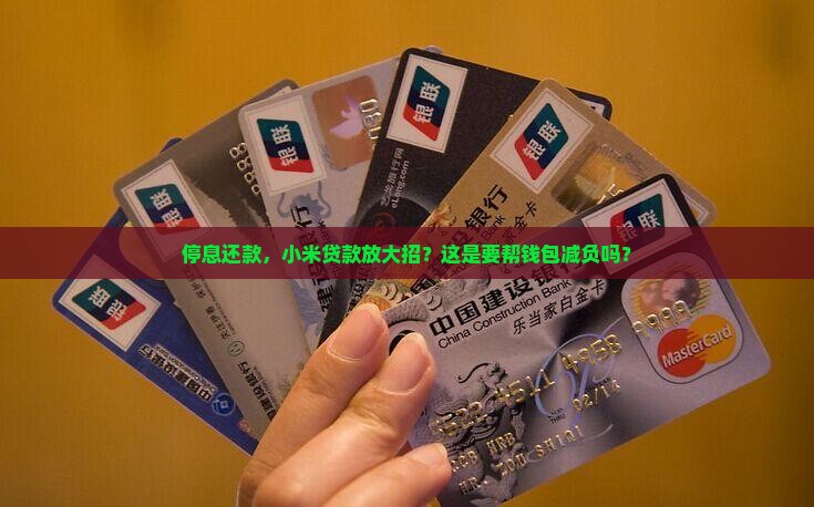 小米贷款停息还款