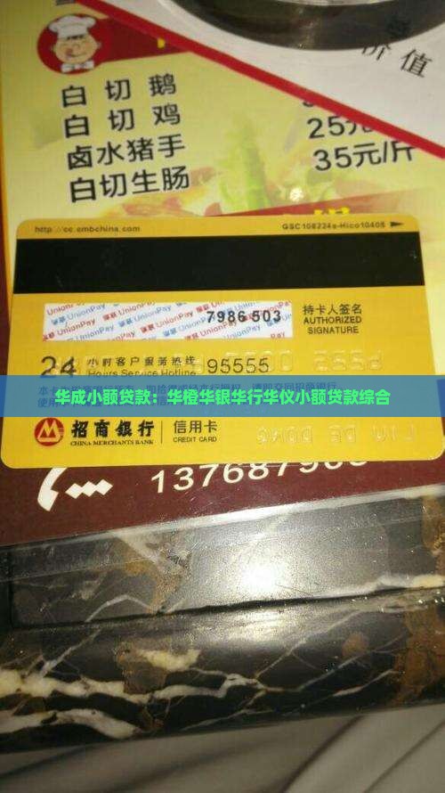 华成小额贷款
