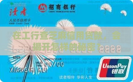 工行查芝麻信用贷款