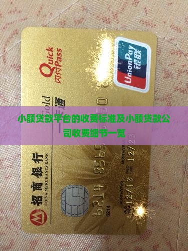 小额贷款平台的收费标准