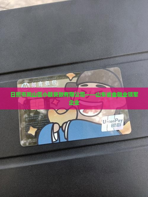 岚山区永铸小额贷款