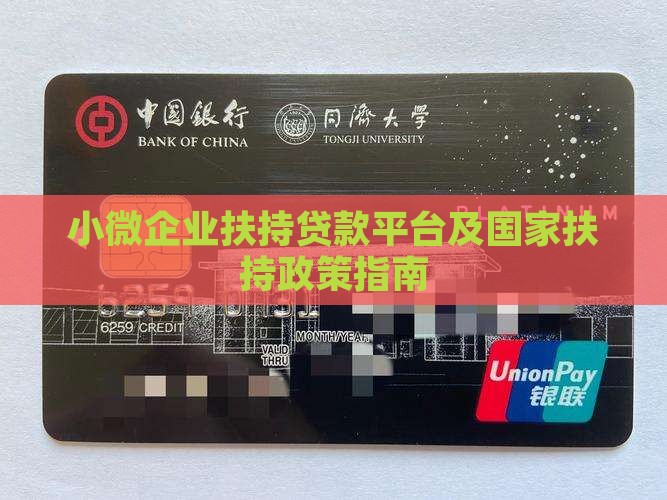 小微企业扶持贷款平台