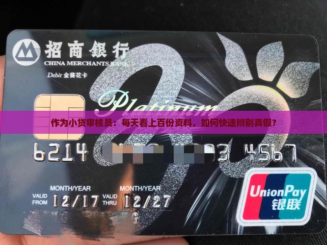 小额贷款信息审核员