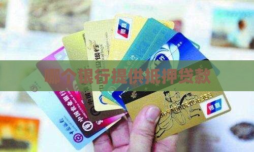 哪个银行提供抵押贷款