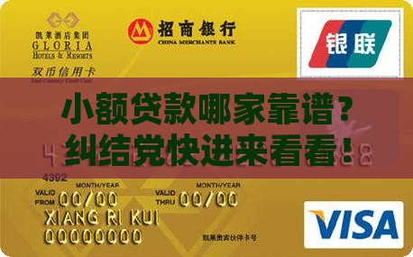 小额贷款哪个公司
