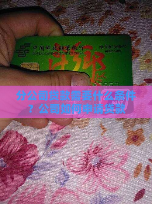 分公司贷款需要什么