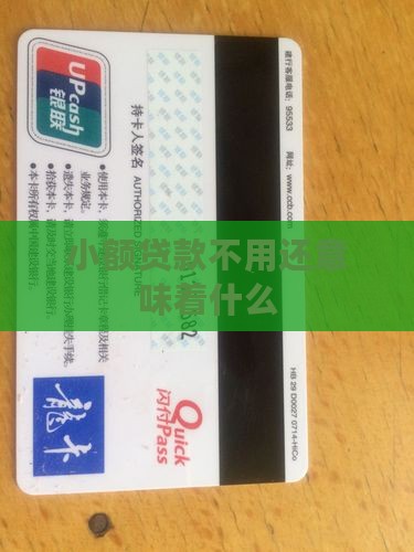 小额贷款不用还什么意思