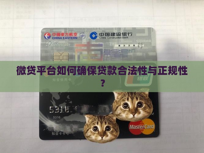 微贷款平台合法吗