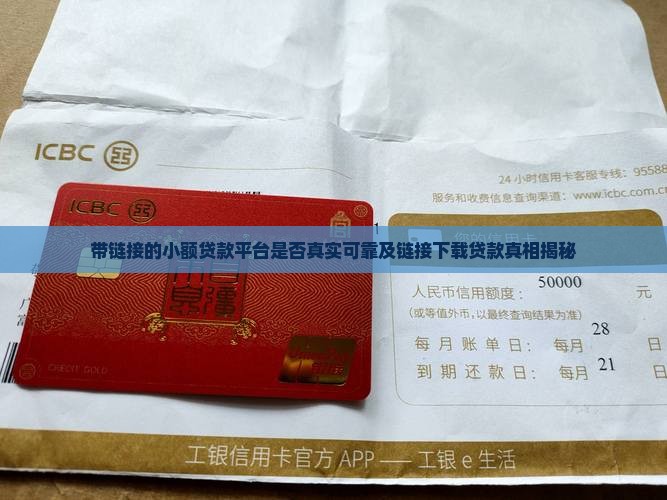 带链接的小额贷款平台