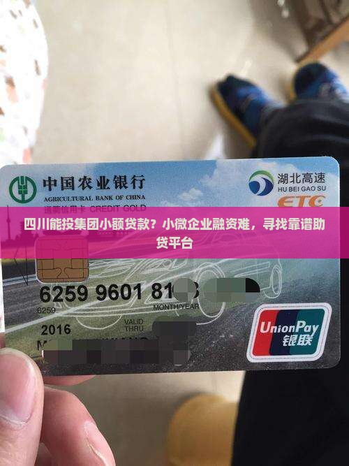 四川能投集团小额贷款