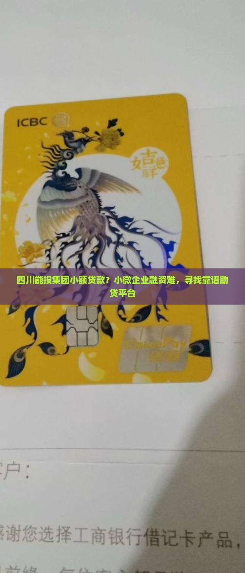 四川能投集团小额贷款