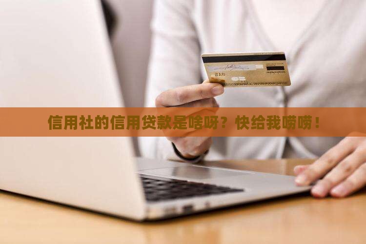啥叫信用社信用贷款啊