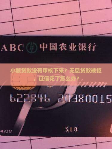 小额贷款没有审核下来