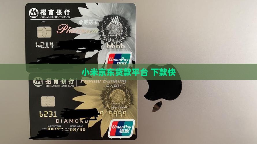 小米京东类似的贷款