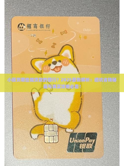 小额贷哪些能贷款的银行 小额贷哪些能贷款的银行