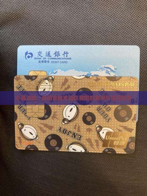 小额贷款是哪年