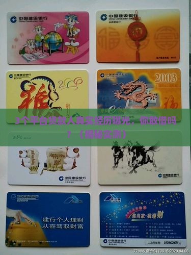 平台贷款人