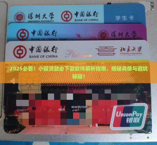 小额贷款必下款的软件