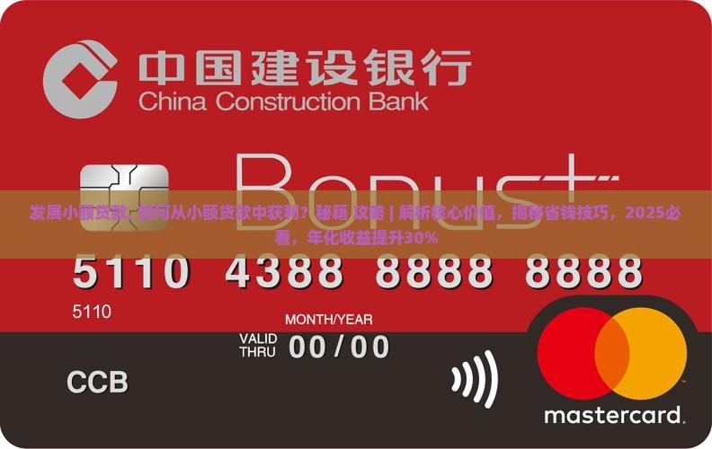 发展小额贷款