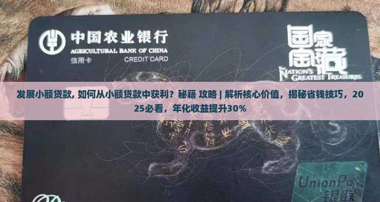 发展小额贷款
