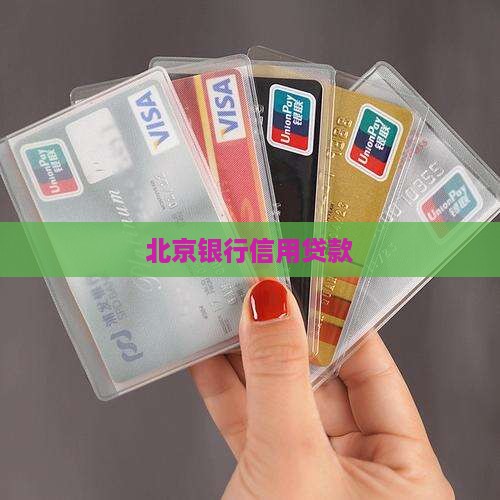 北京市银行信用贷款